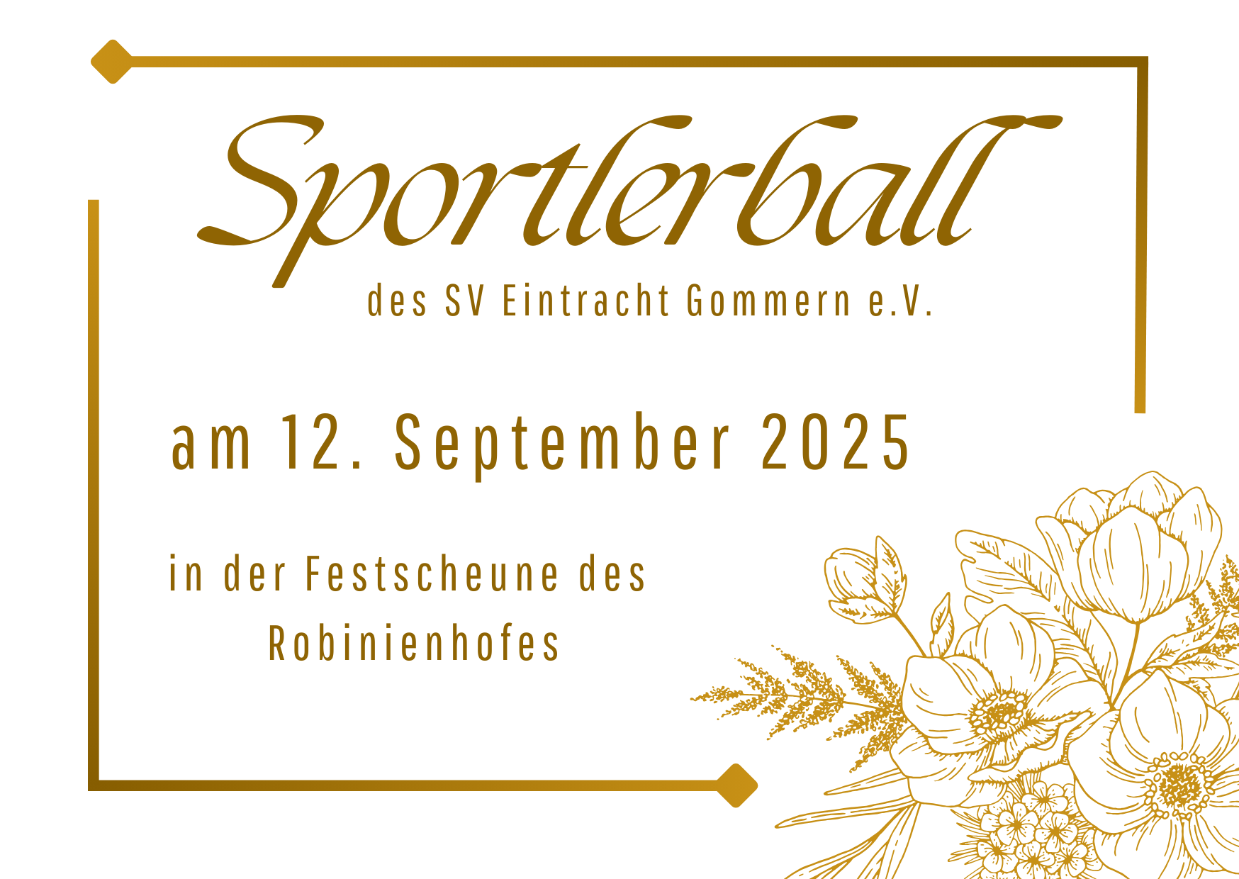 Sportlerball Info Webseite